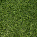 Close-up of green artificial grass texture - LTRFPEME7.5X10-32MM66OZ