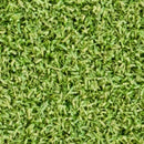 Putting Green 15ftx16 Mm Cut To Length Artificial Turf Roll - MSI Collection