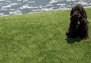 Viridian Green 91 Oz 15ftx45 Mm Cut To Length Artificial Turf Roll - MSI Collection