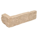 Fossil Rustic Random Sized Natural Sandstone Loose Veneer Ledgestone - MSI Collection
