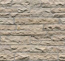 Fossil Rustic Random Sized Natural Sandstone Loose Veneer Ledgestone - MSI Collection