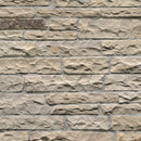 Fossil Rustic Random Sized Natural Sandstone Loose Veneer Ledgestone - MSI Collection