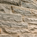 Fossil Rustic Random Sized Natural Sandstone Loose Veneer Ledgestone - MSI Collection