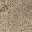 Fossil Rustic Random Sized Natural Sandstone Square And Rectangle Loose Veneer Ledgestone - MSI Collection