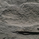 Sable Hills Random Sized  Natural Sandstone Loose Veneer Ledgestone - MSI Collection
