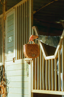 Grace Saddle Bag