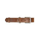 The Dog Collar