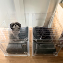 Large Crate (Silver Latch)