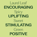 Laurel Leaf Essential Oil