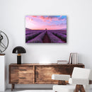 Lavender Fields - Print