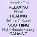 Lavender Fine Essential Oil
