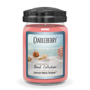 Beach Collection - Lemon Berry Sorbet™, Large Jar Candle (Collective)