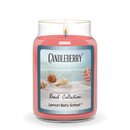 Beach Collection - Lemon Berry Sorbet™, Large Jar Candle (Collective)