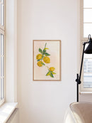Lemon Branch