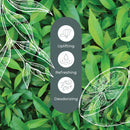 Lemon Scented Tea Tree	Essential Oil