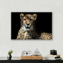 Leopard - Print