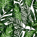 Green Plant Leaves Wallpaper