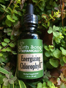 Energizing Chlorophyll Liquid Drops for Natural Energy 1 oz.