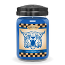 Light One For The Cats™, Large Jar Candle (Collective)
