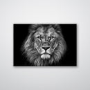 Lion Head - Print