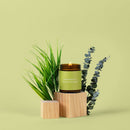 Low Tox Friendship Jar Candle