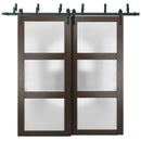 Lucia 2552 Chocolate Ash Double Barn Door with Frosted Glass | Black Bypass Rails