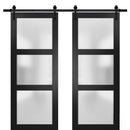 Lucia 2552 Matte Black Double Barn Door with Frosted Glass | Black Rail