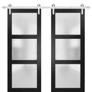 Lucia 2552 Matte Black Double Barn Door with Frosted Glass | Silver Finish Rail