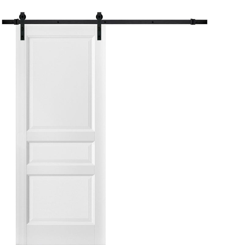 Lucia 31 White Silk 3 Panel Barn Door and Black Rail