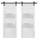 Lucia 4010 Matte White Double Barn Door with 2 Lites Frosted Glass | Black Rail