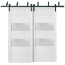 Lucia 4010 Matte White Double Barn Door with 2 Lites Frosted Glass | Black Bypass Rails