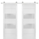 Lucia 4010 Matte White Double Barn Door with 2 Lites Frosted Glass | Silver Finish Rail