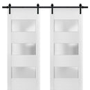 Lucia 4070 Matte White Double Barn Door with 3 Lites Frosted Glass | Black Rail