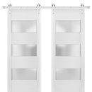 Lucia 4070 Matte White Double Barn Door with 3 Lites Frosted Glass | Silver Finish Rail