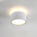 Lucinda Ceiling Light