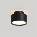 Lucinda Ceiling Light