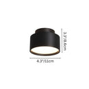 Lucinda Ceiling Light