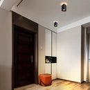 Lucinda Ceiling Light
