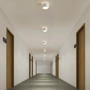 Lucinda Ceiling Light