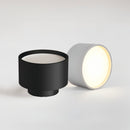 Lucinda Ceiling Light