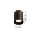Lucinda Ceiling Light
