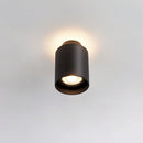 Lucinda Ceiling Light