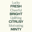 Lucky Essential Oil Blend