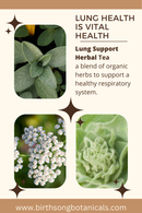 Lung Support Herbal Tea for Bronchial and Respiratory Wellness