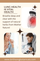 Lung Support Herbal Tea for Bronchial and Respiratory Wellness
