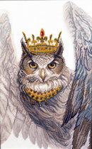 Counted cross stitch kit M-540C Owl