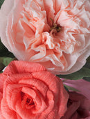 A Rose by Any Other Name | Paper Rose Bouquet