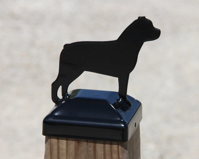 6X6 Rottweiler Post Cap (5.5 x 5.5 Post Size)