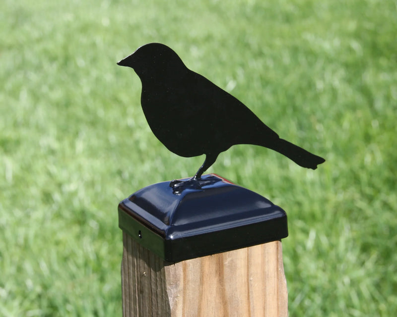 6X6 Song Bird Post Cap (5.5 x 5.5 Post Size)