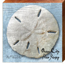 Ocean City, New Jersey Sand Dollar Wooden Sign | Wall Art Print on Real Wood | Coastal Nautical Tropical Beach House Home Decor